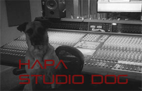 hapa world famous studios